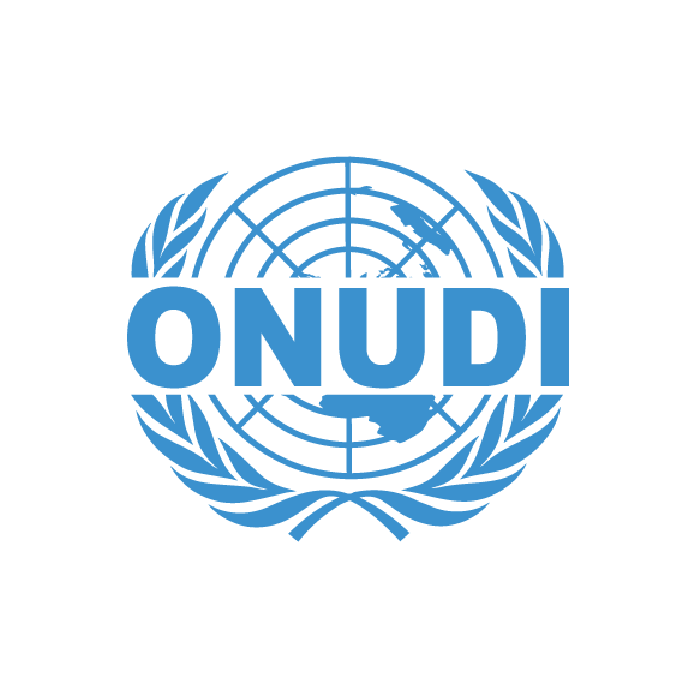 You are currently viewing ONUDI – Togo